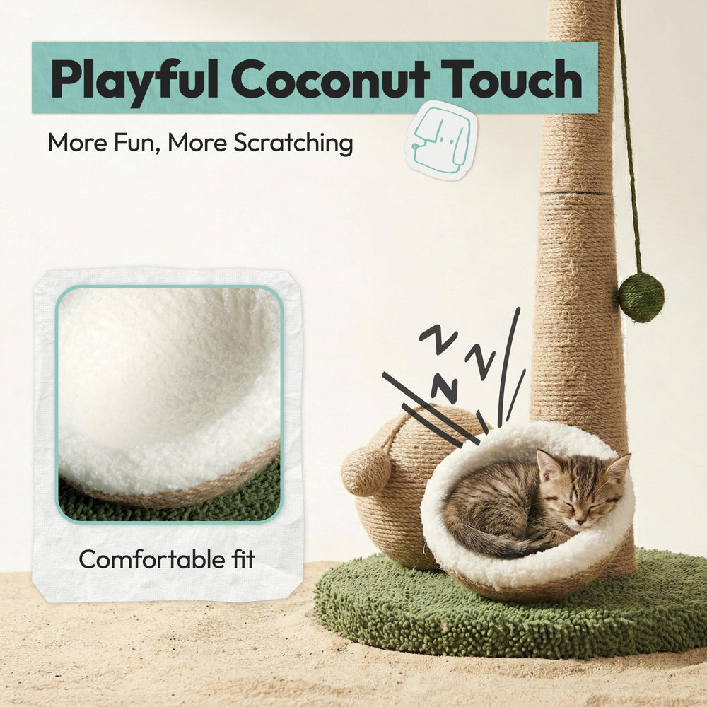 POMESEA jouets coco suspendus pour stimuler la chasse et l'exploration.