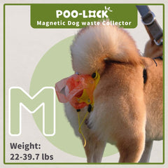 Poo-Lock sangle en TPR silicone douce, confort lors des jeux et balades.