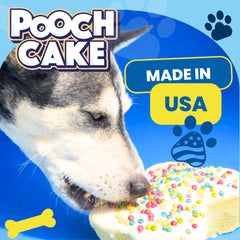 Glaçage Pour Chien par Pooch Cake Kit, décoration sûre et appétissante.