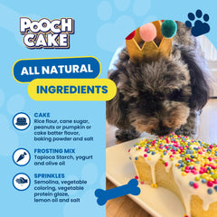 Pooch Cake Kit Mélange Gâteau Chien, saveur festive pour une célébration.
