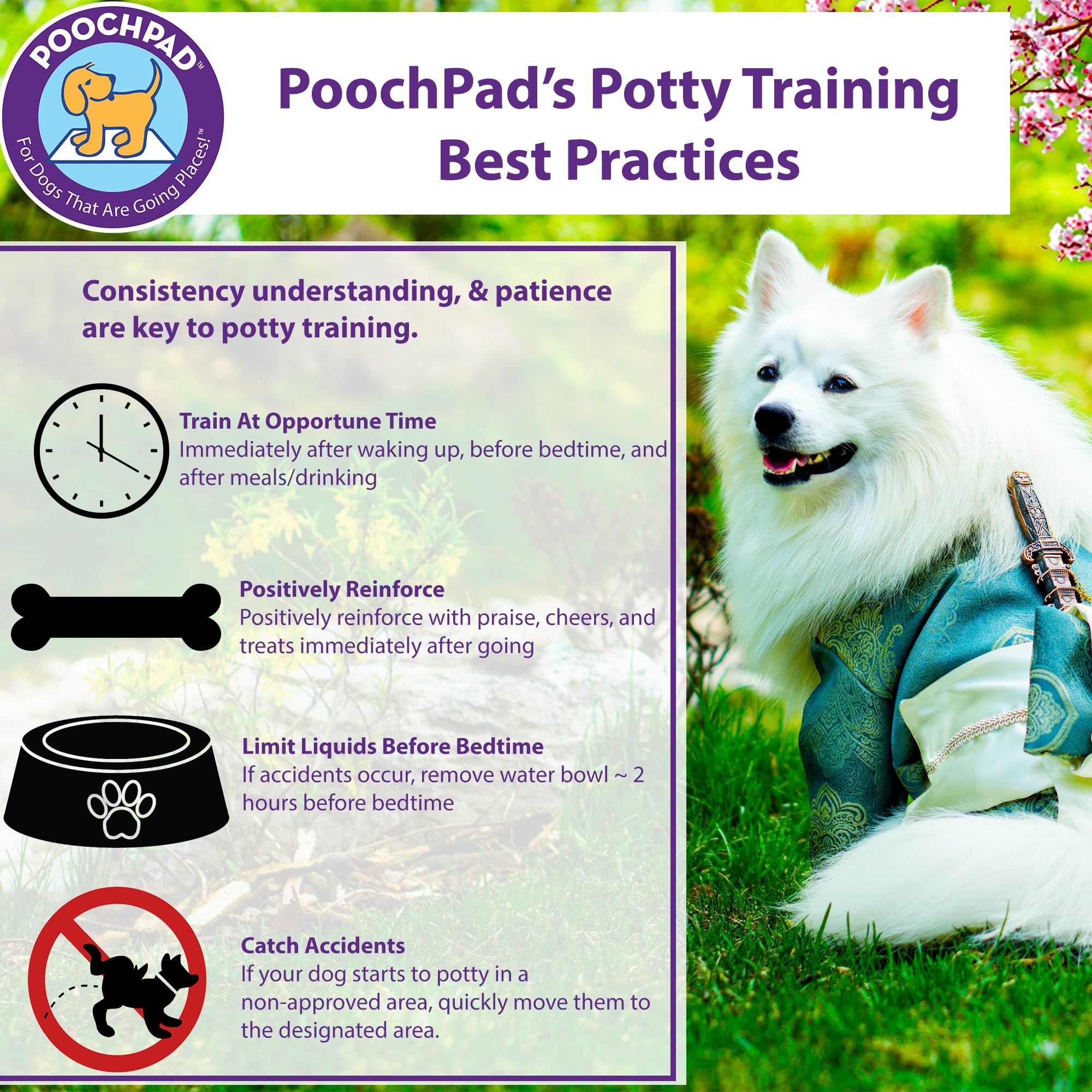 PoochPad Spray zone saturée utilisée pour l apprentissage du chien