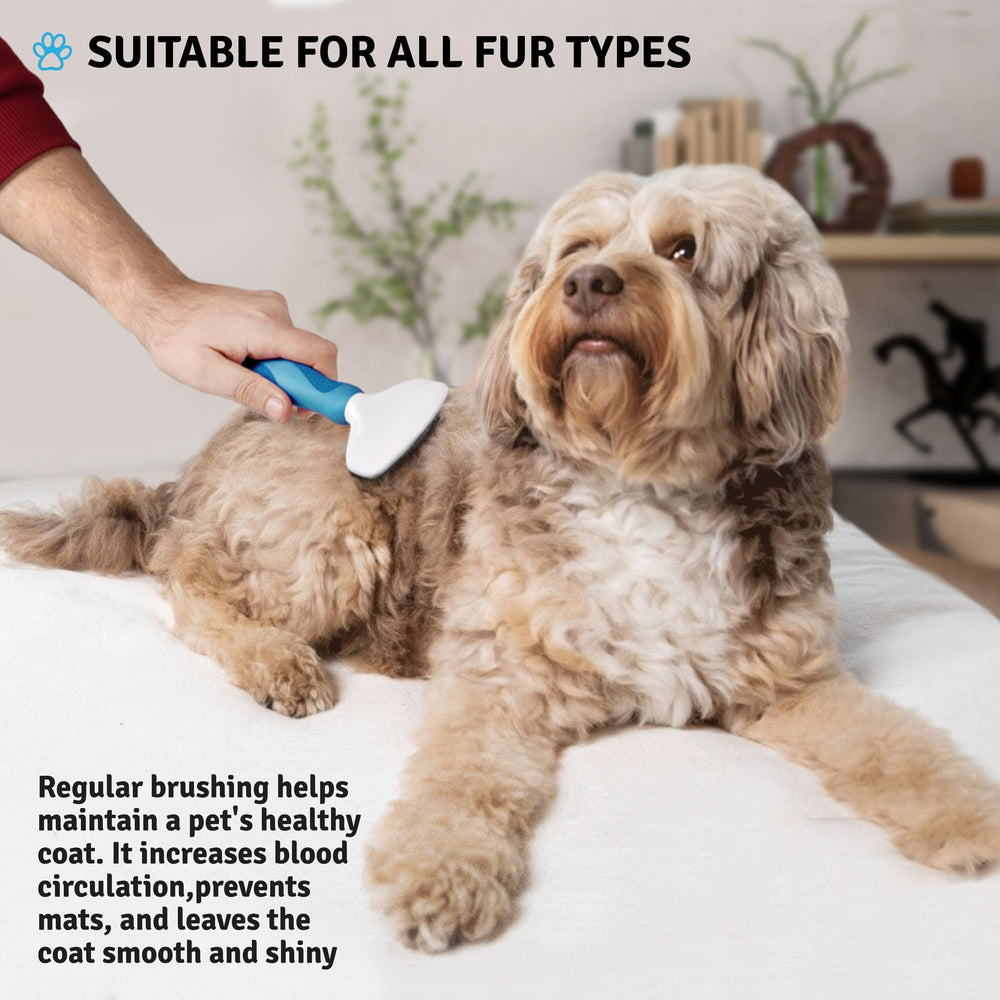 POODLIE Brosse slicker poil court: pratique pour pelages courts et sensibles
