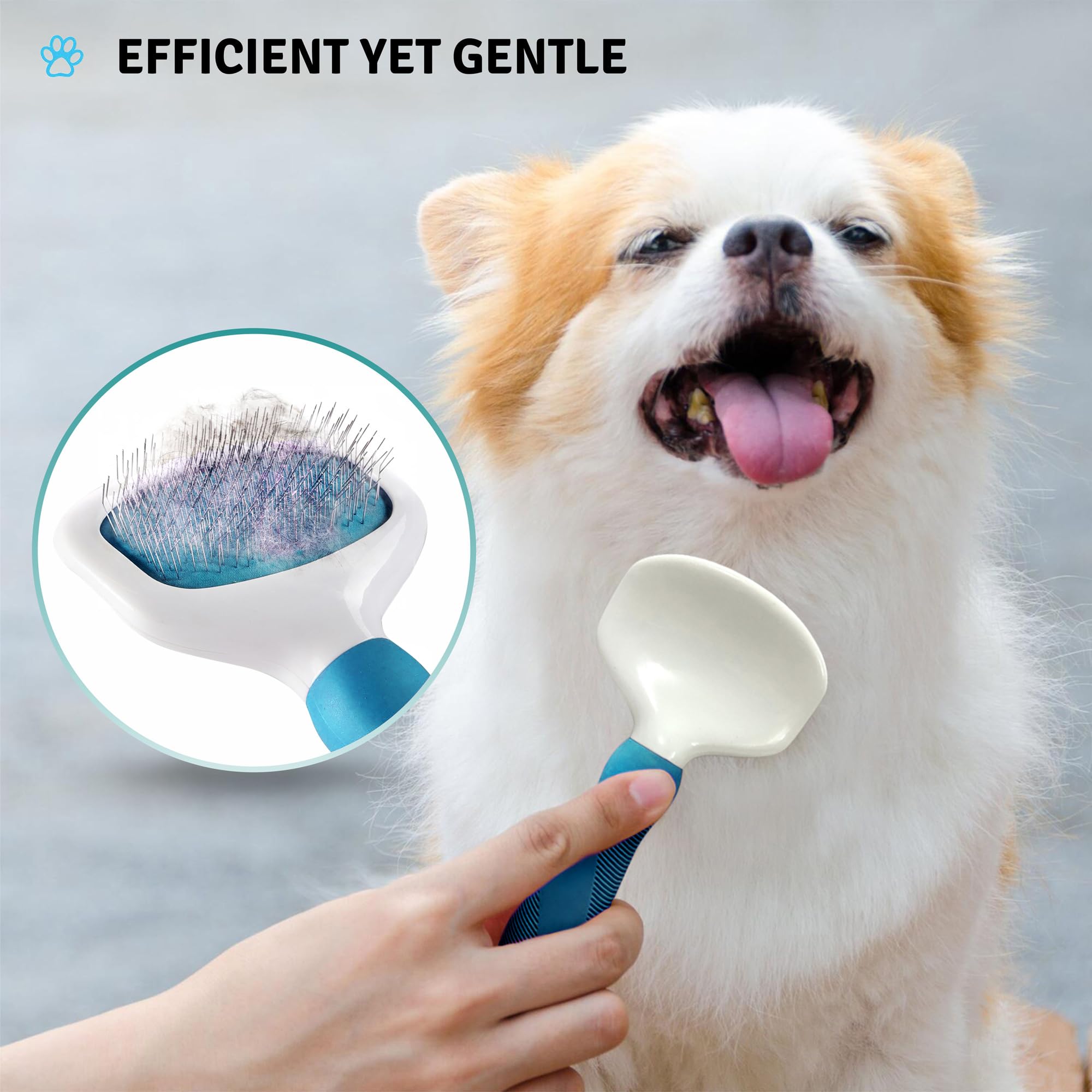 POODLIE Brosse slicker poil long: entretien quotidien des pelages longs
