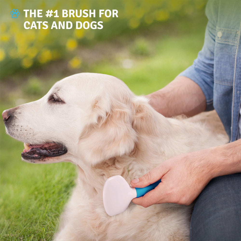 POODLIE Brosse Slicker usage quotidien: idéale pour toilettage à domicile