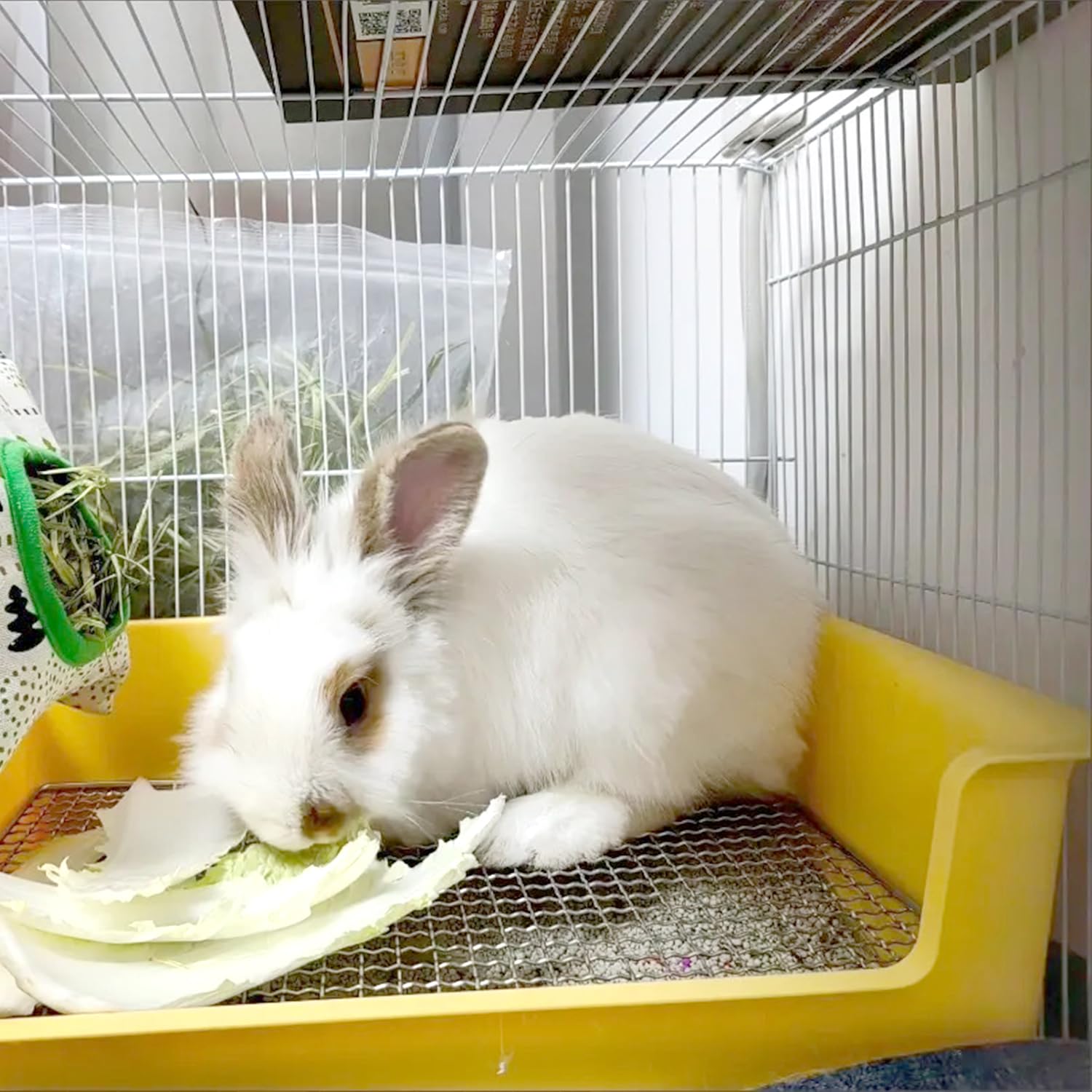 Poodoo boîte-litière pour lapin, nettoyage facilité grâce au plateau amovible.