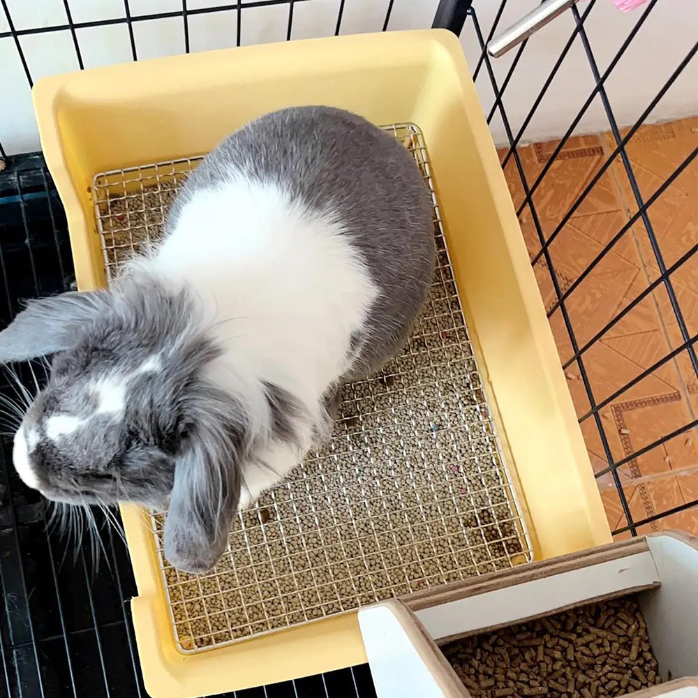 Poodoo boîte-litière pour lapin, structure en acier résistante.