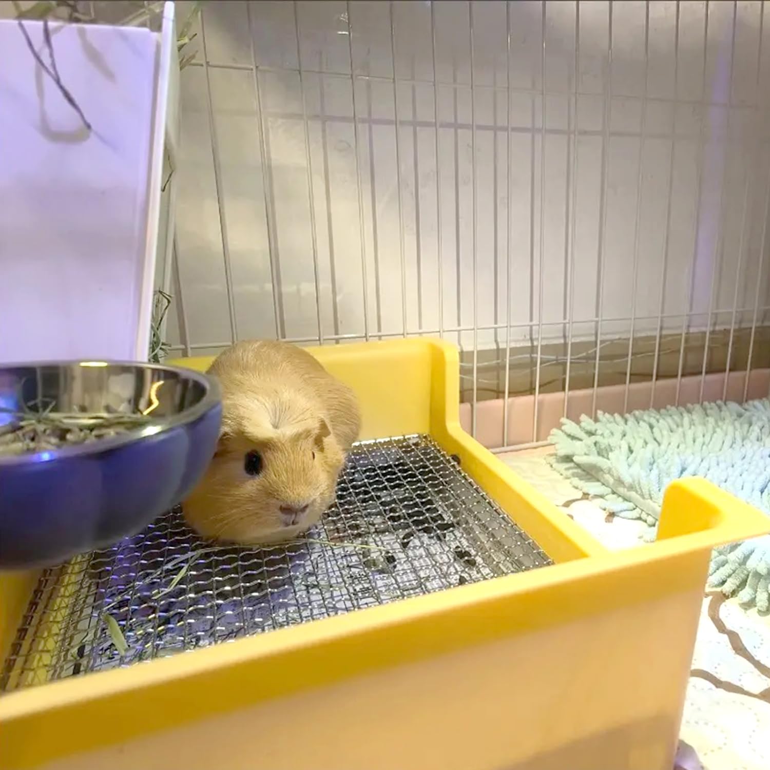 Poodoo boîte-litière pour lapin, utilisation quotidienne et propreté facilitée.
