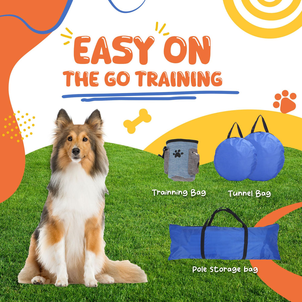 PopMoon cerceau dentrainement pour chien: ameliorer la coordination et le saut