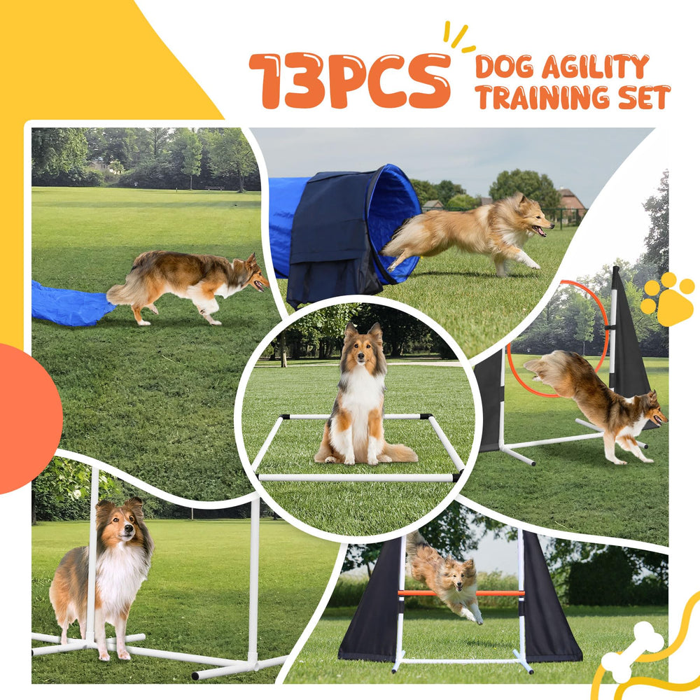 PopMoon tunnel pliable pour chien: montage rapide et pratique en interieur