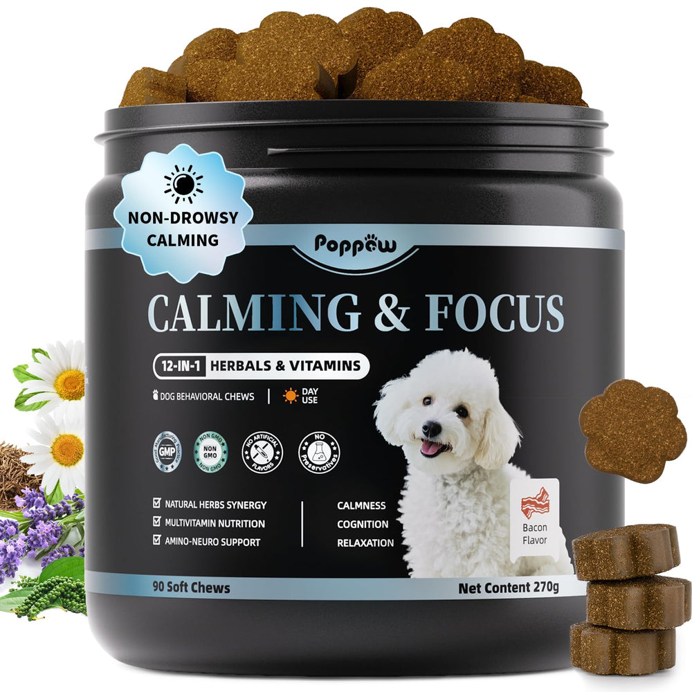 POPPAW friandises apaisantes pour chien saveur bacon, aide au calme après l’entraînement.