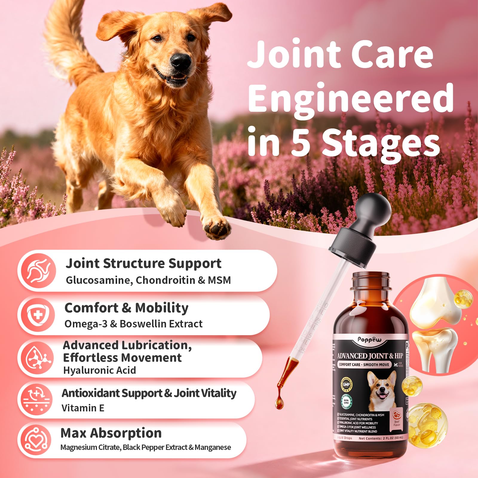 Gouttes POPPAW glucosamine et chondroïtine, soutien du cartilage.