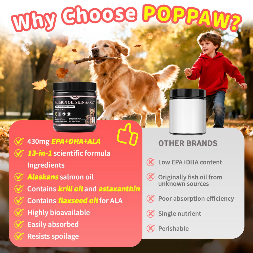 POPPAW immunité chien — vitamine E et aide potentielle à l’immunité