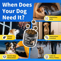 POPPAW oméga-3 et phosphatidylsérine pour chien, soutien du système nerveux.