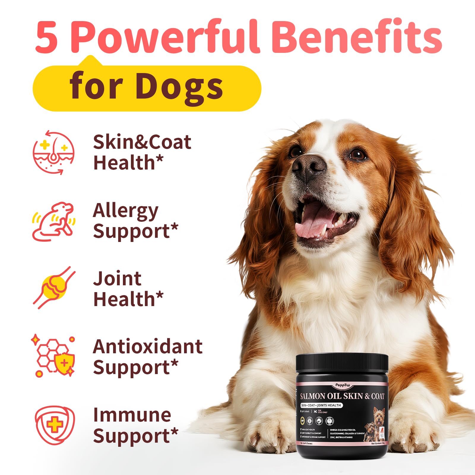POPPAW peau et poil chien — texture soyeuse et pelage brillant après utilisation