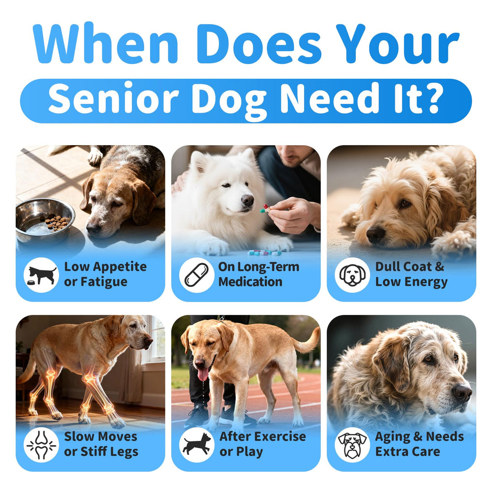POPPAW Senior Chien – texture des bouchées favorisant mobilité et confort.