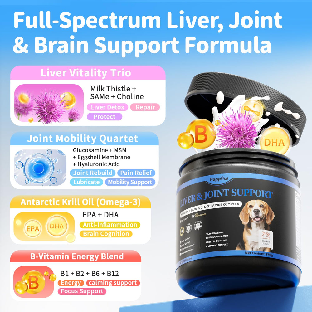 POPPAW Senior Chien – ingrédients visibles, glucosamine et MSM pour articulations souples.