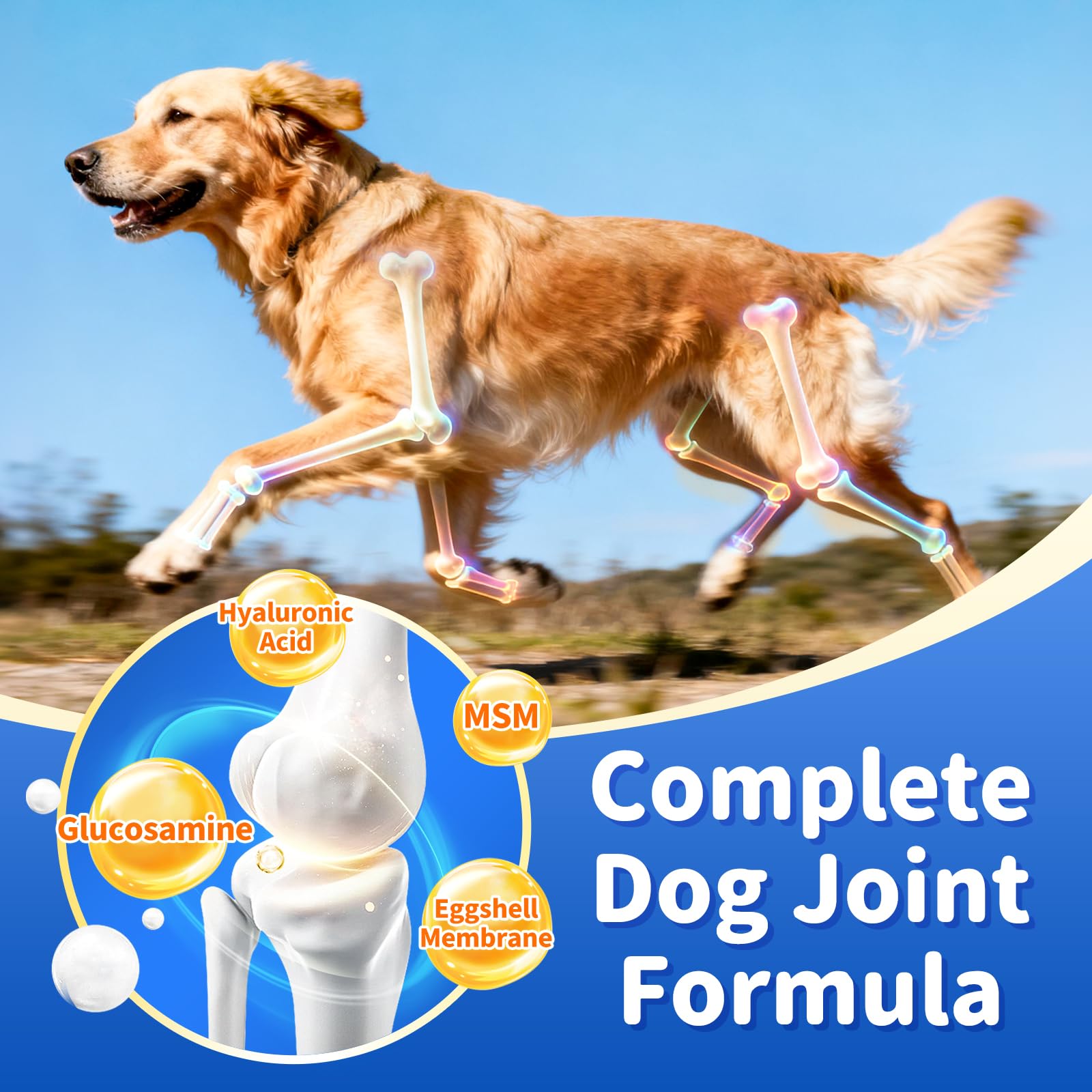 POPPAW Senior Chien – huile de krill, oméga-3 pour cognition et vitalité.