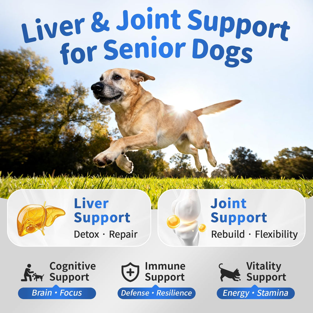 POPPAW Senior Chien – friandises molles goût poulet, faciles à mâcher pour chiens âgés.