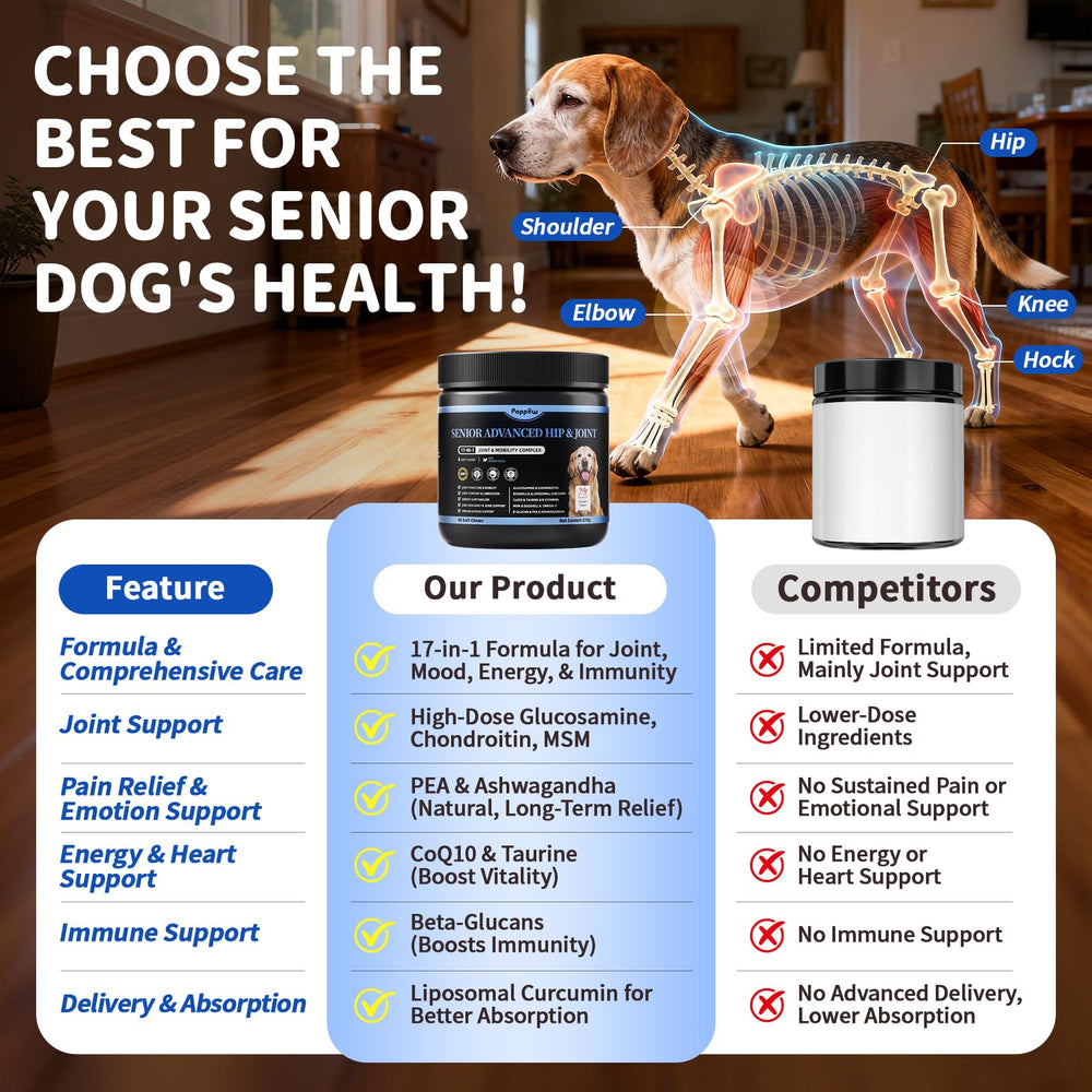 POPPAW Senior – curcumin liposomal, meilleure absorption pour les articulations.