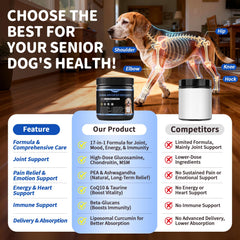 POPPAW Senior – curcumin liposomal, meilleure absorption pour les articulations.