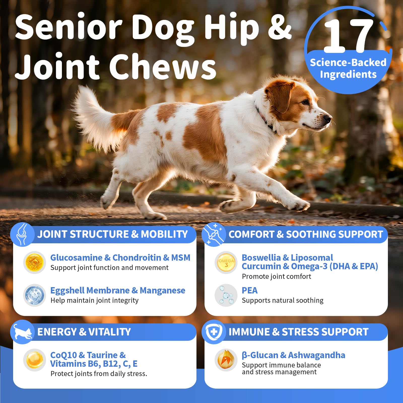 POPPAW Senior – oméga-3 articulations, soutien des tissus et mobilité.
