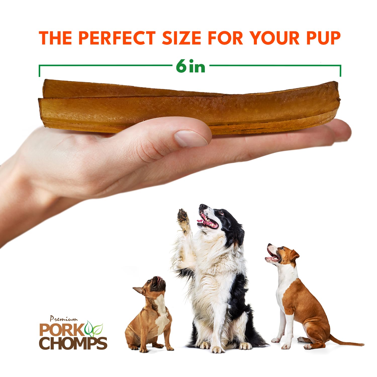 Pork Chomps: chien en action, moment de mastication soutenu.