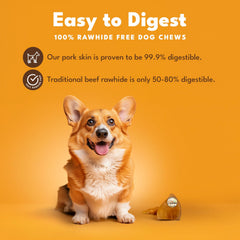 Pork Chomps oreille en porc rôtie, adaptée aux petits chiens.