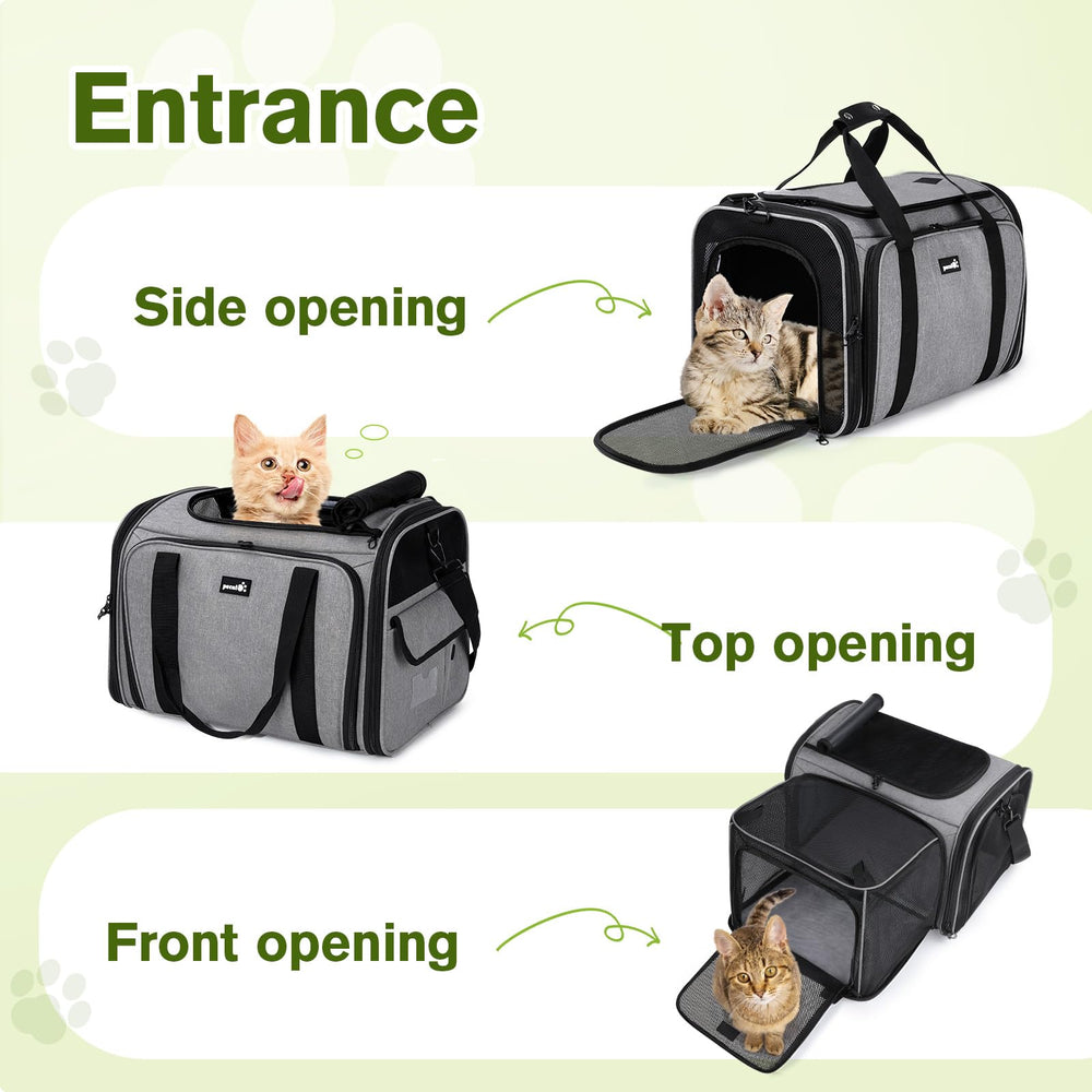 Pecute porte-chat glissière zinc-alliage renforce la sécurité.