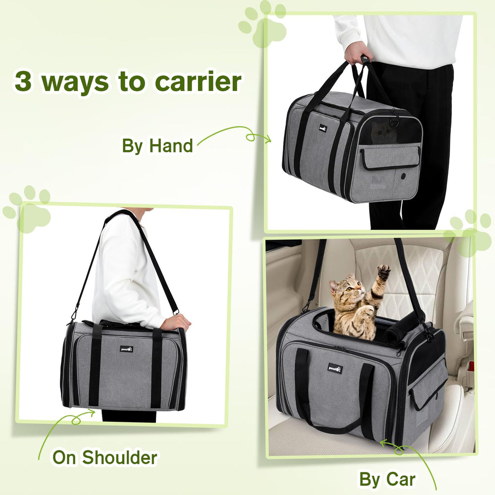 Pecute porte-chat tapis intérieur amovible et lavable pour l'entretien.