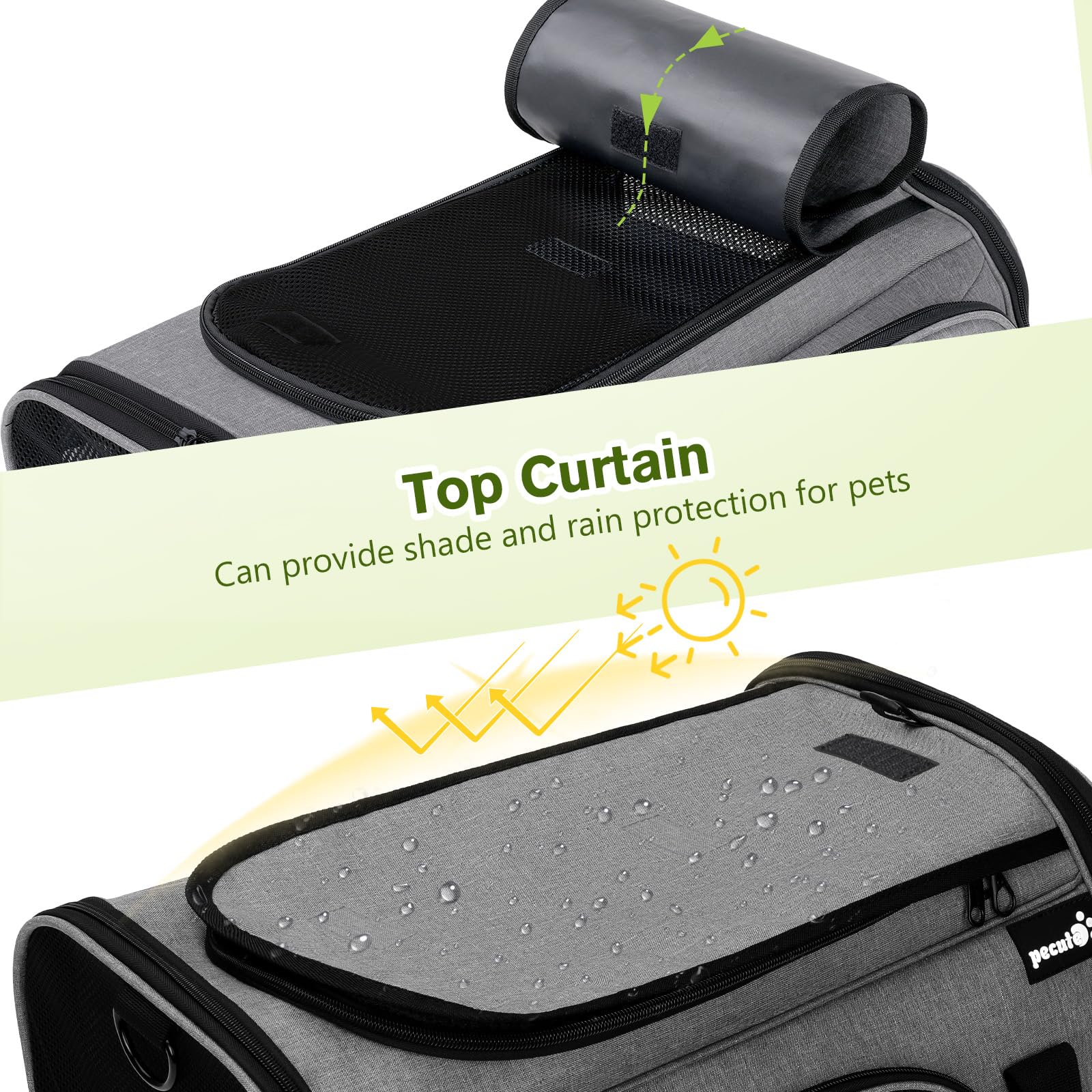 Pecute porte-chat tente roulante sur le dessus pour exploration et interaction.