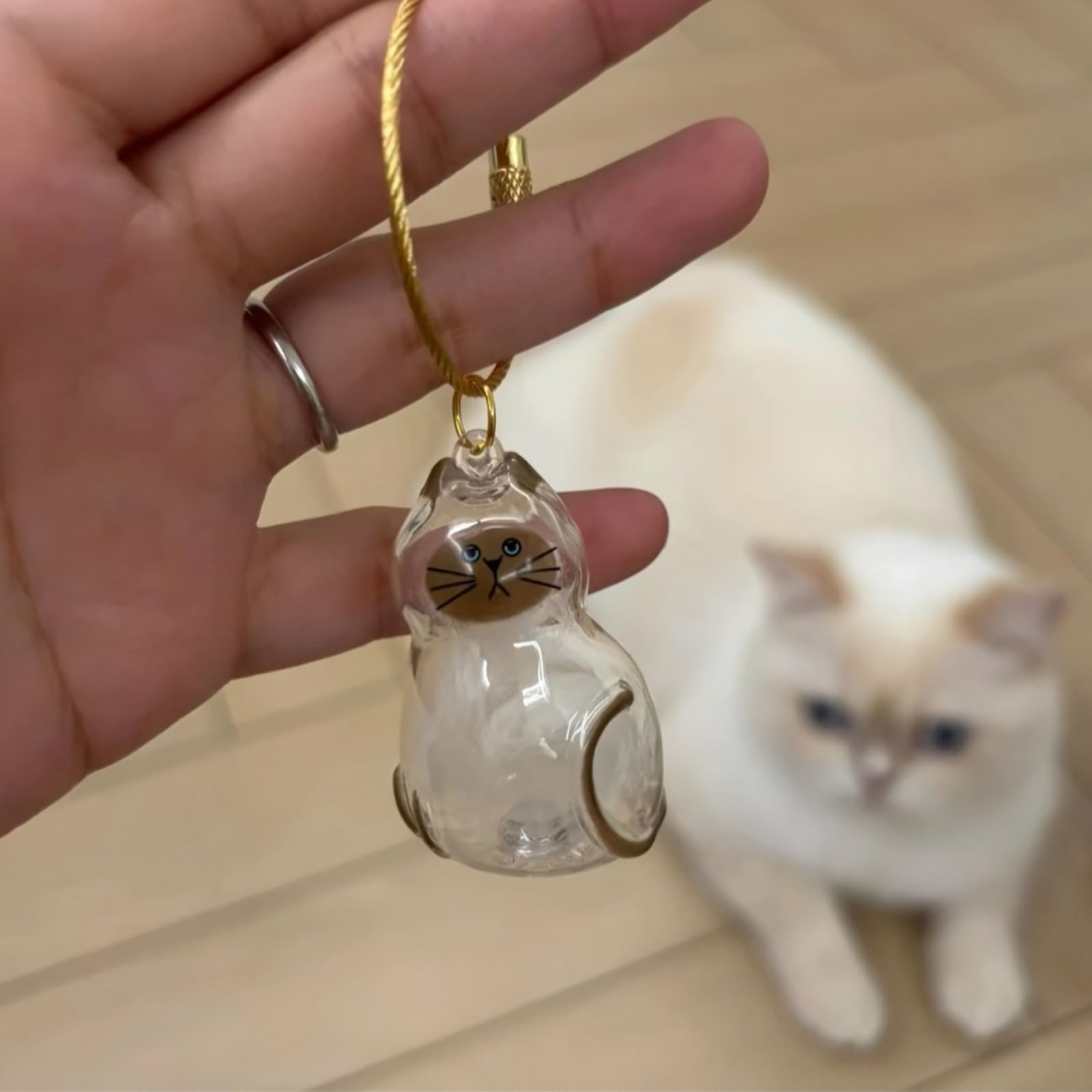 Porte-clés Poil Animal Transparent, cadeau attentif pour propriétaires d'animaux.