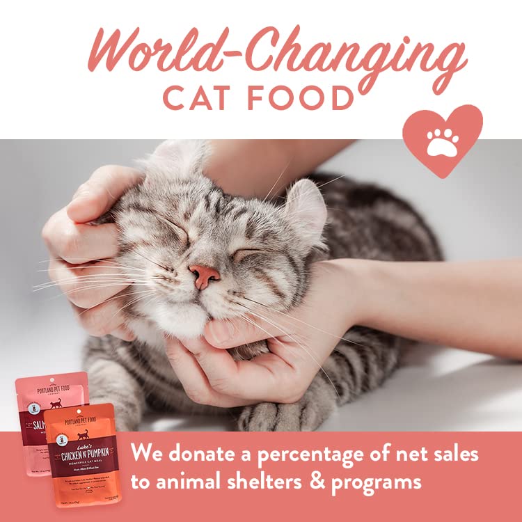 Chat savourant Portland Pet Food dans sa gamelle.