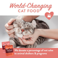 Chat savourant Portland Pet Food dans sa gamelle.