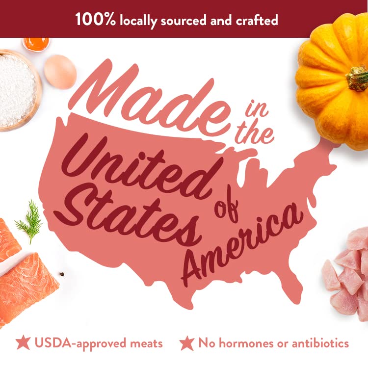 Assiette chat avec nourriture humide Portland Pet Food Company, appetissante et hydratante.