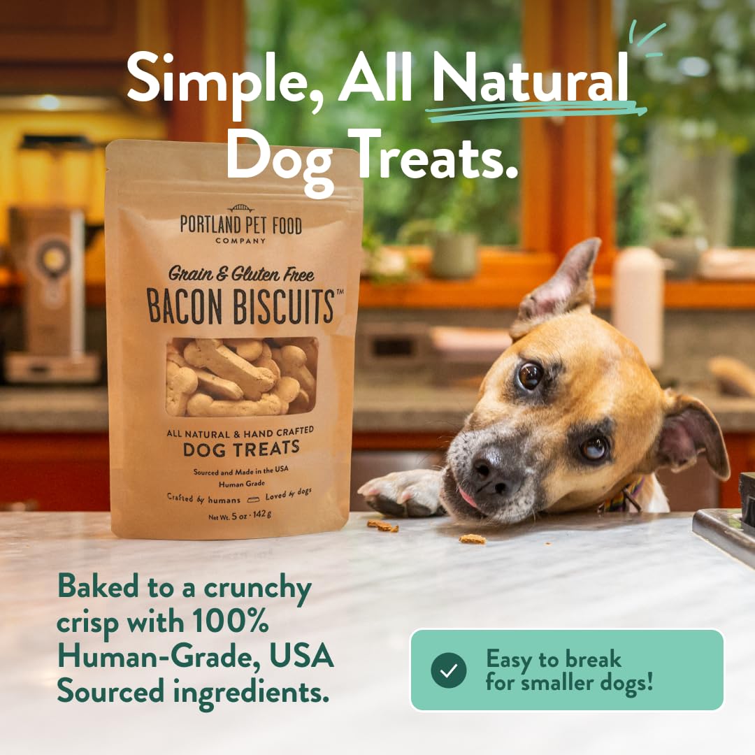 Gingerbread biscuit Portland Pet Food Company, arôme épicé et croquant plaisant.