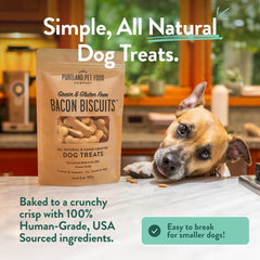 Gingerbread biscuit Portland Pet Food Company, arôme épicé et croquant plaisant.