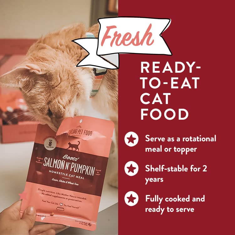 Moment d’alimentation gourmet Portland Pet Food Company, variété appréciée par les chats.