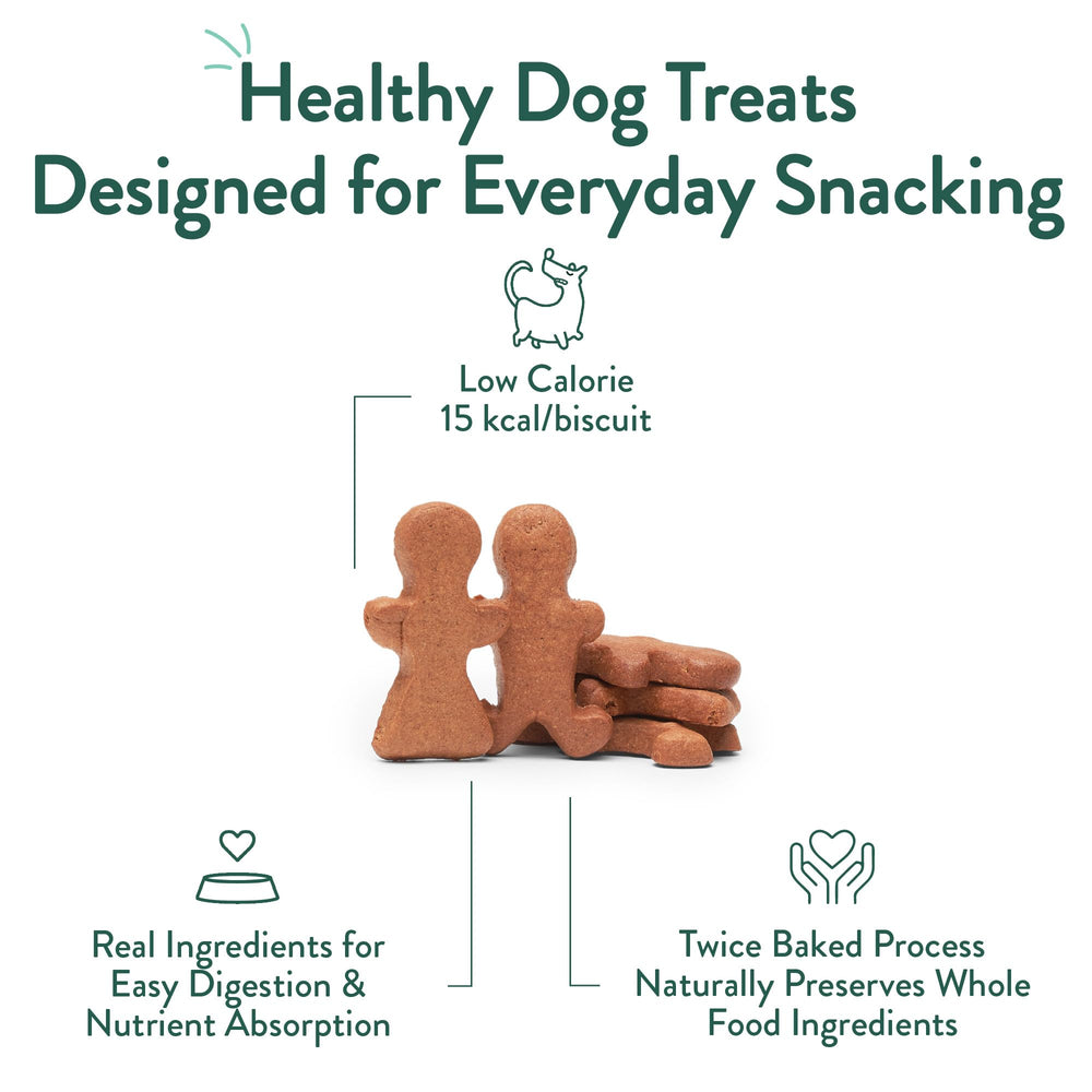 Portland Pet Food Company sans gluten, adapté aux chiens sensibles.