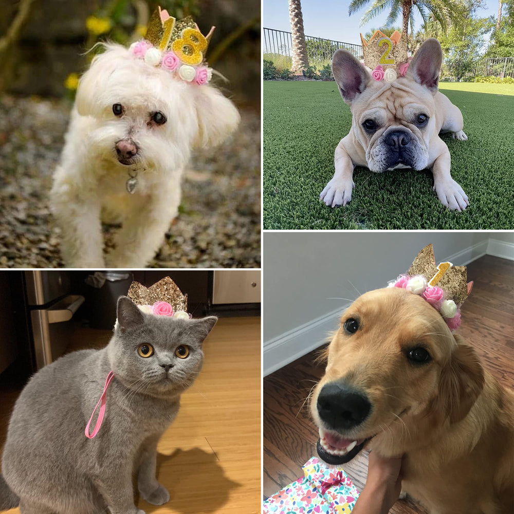 POSAPET accessoire-fete-animaux-doree : parfait pour boutique et événement.