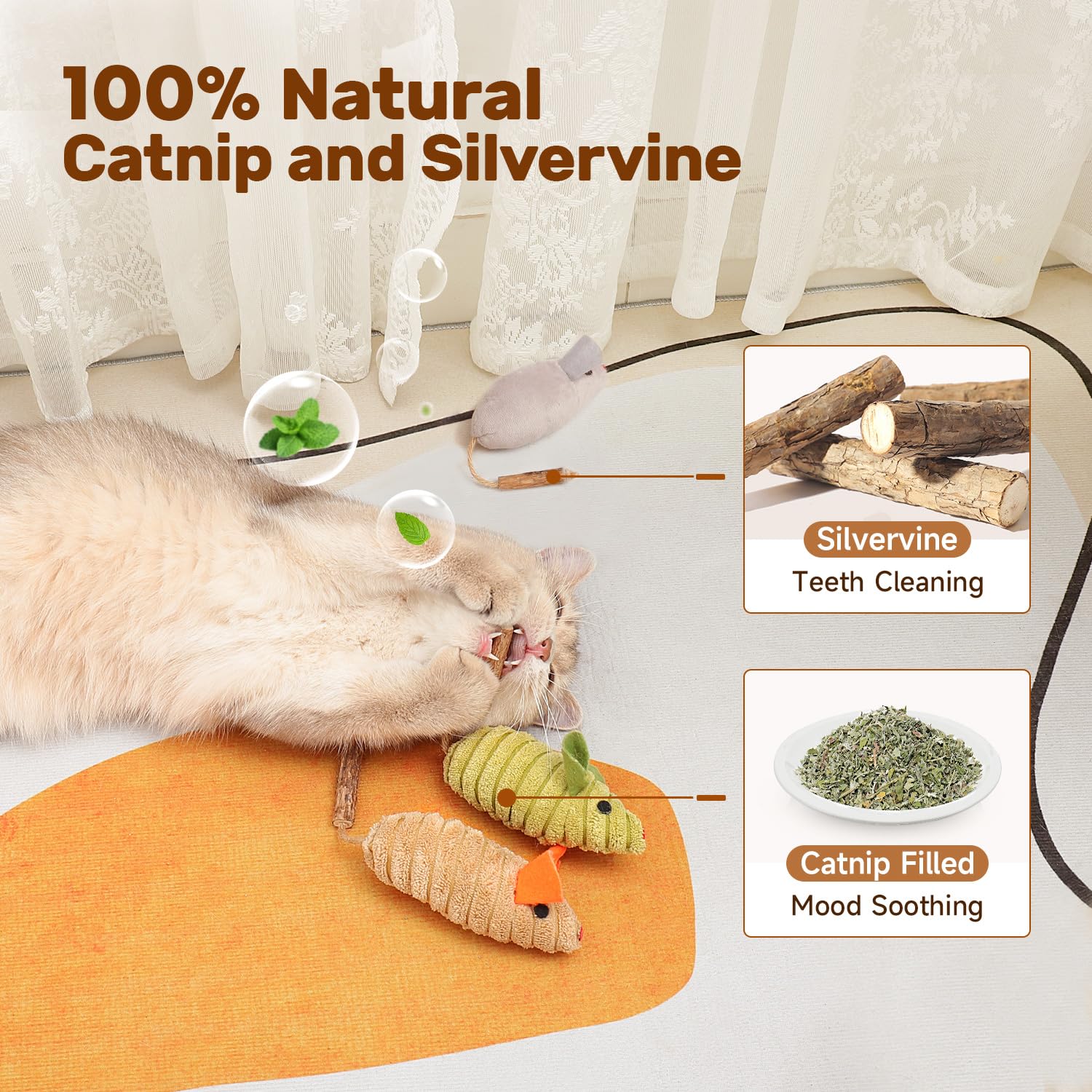 Potaroma aide à l hygiène dentaire pendant le jeu des chats.