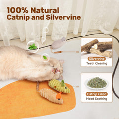 Potaroma aide à l hygiène dentaire pendant le jeu des chats.