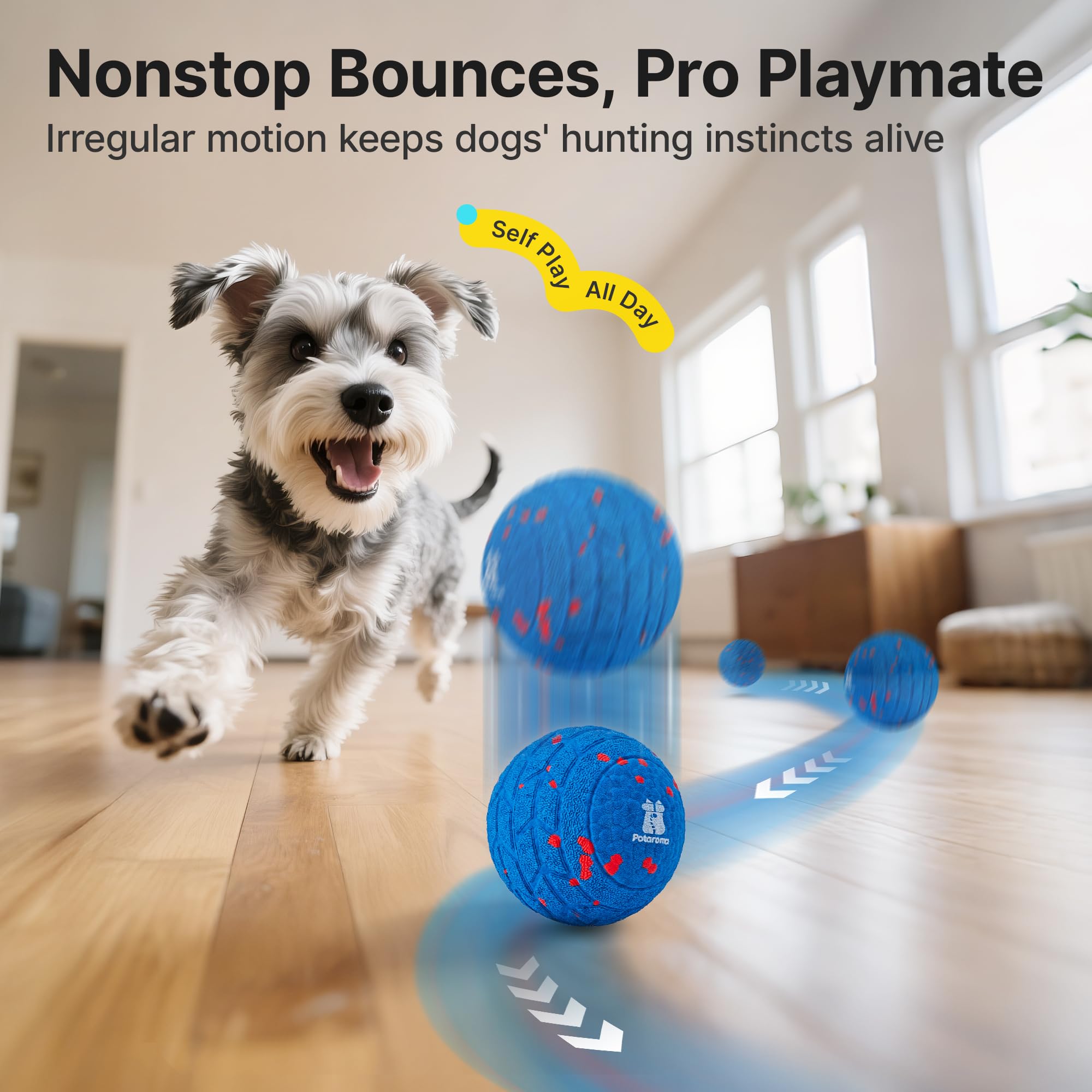 Balle Potaroma avec 3 modes lumineux pour chien actif et contrôle du jeu.