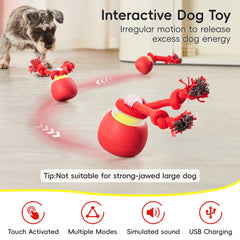 Potaroma balle interactive chien avec corde stimule le jeu et le mordant