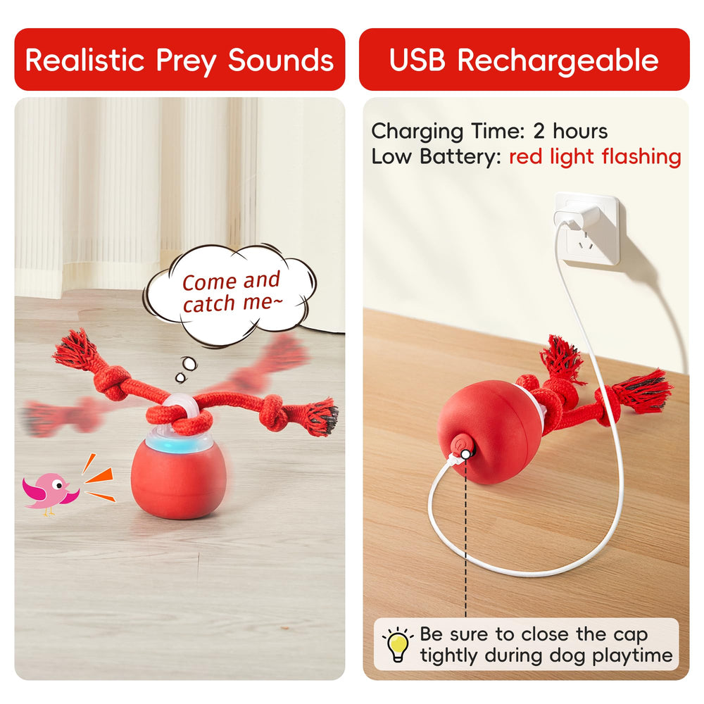 Potaroma balle interactive pour petits et moyens chiens