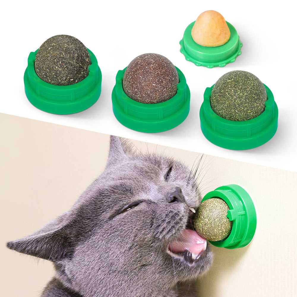 Potaroma balles cataire collées au mur pour divertir le chat.
