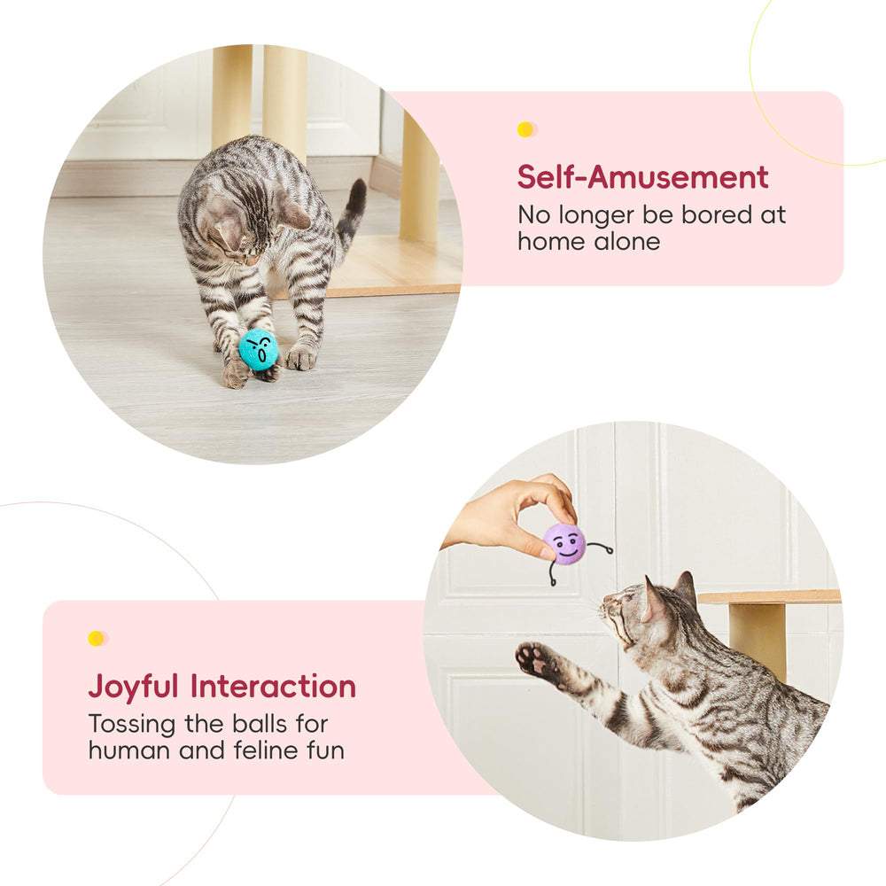 Balles Potaroma colorées pour divertissement quotidien des chats