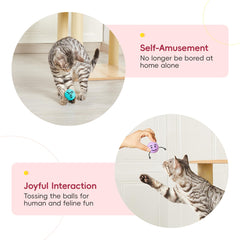 Balles Potaroma colorées pour divertissement quotidien des chats