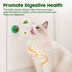 Potaroma balle fruit verveine argentée saveur pour chat.