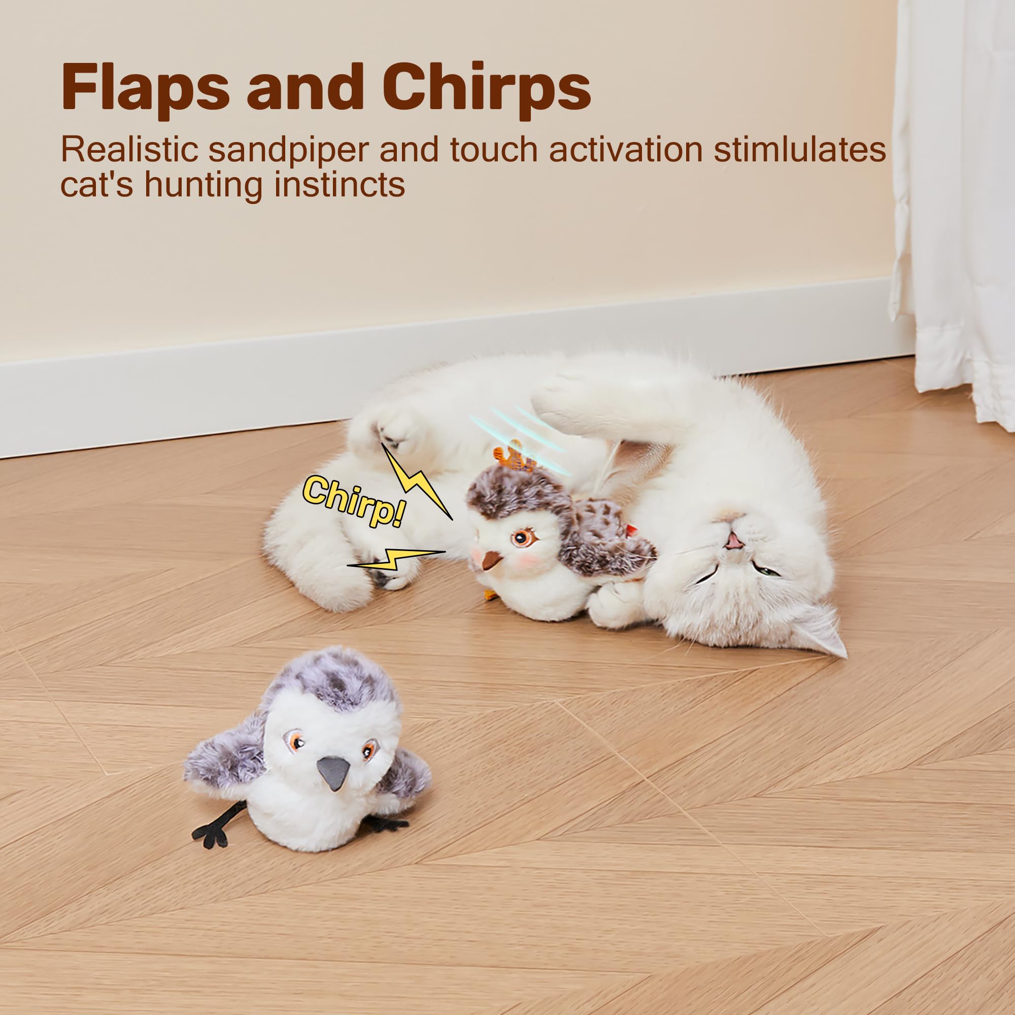 Potaroma duo limicole, paire d'oiseaux pour chats.