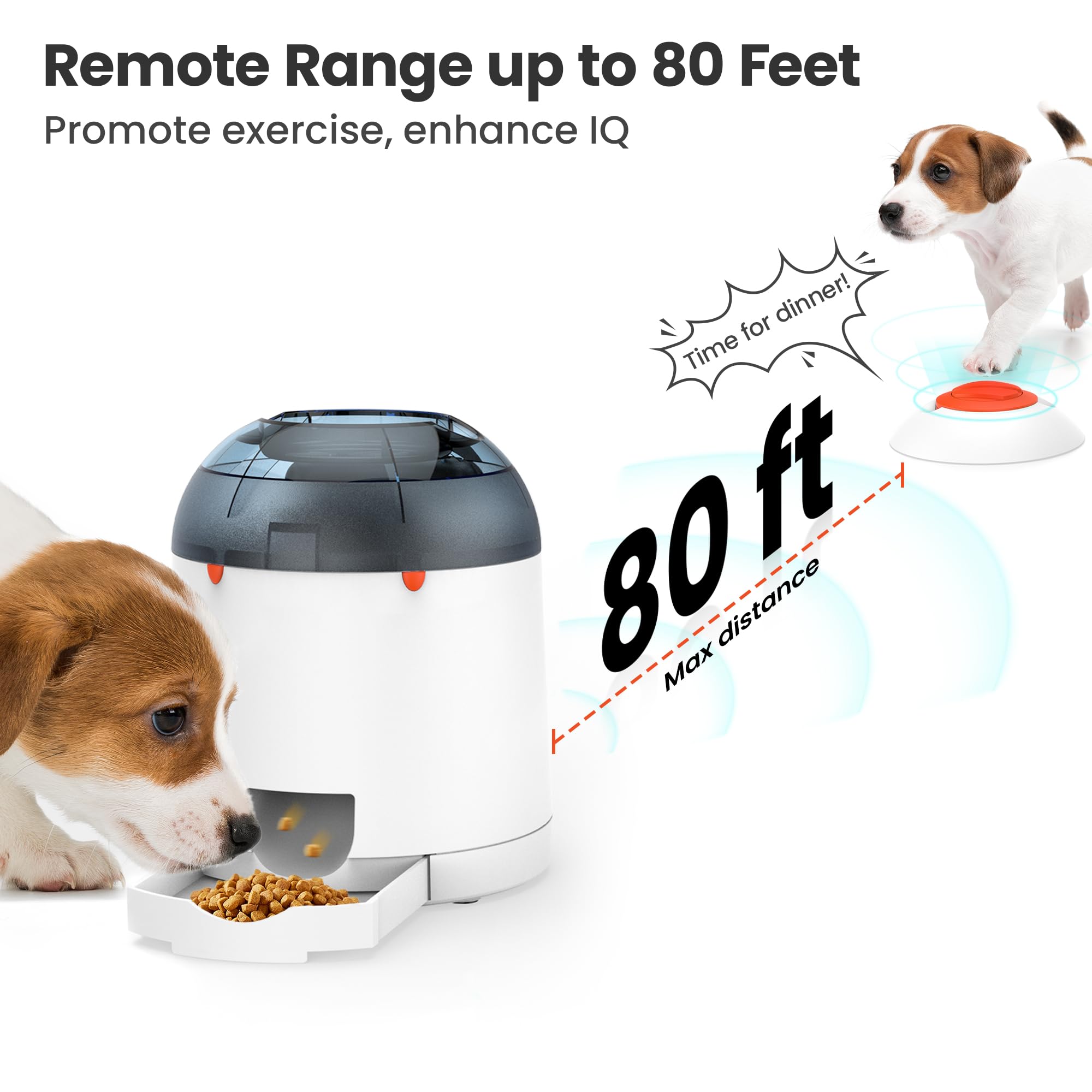 Potaroma distributeur gourmand électronique – récompense interactive pour chien